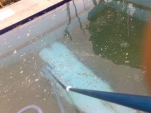 proses penjernihan air kolam renang