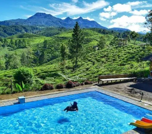 Bukit Kecapi Tasikmalaya