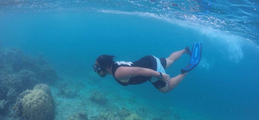 alat snorkeling