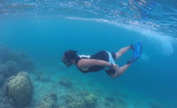 alat snorkeling