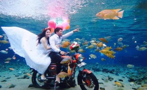 kolam renang alami