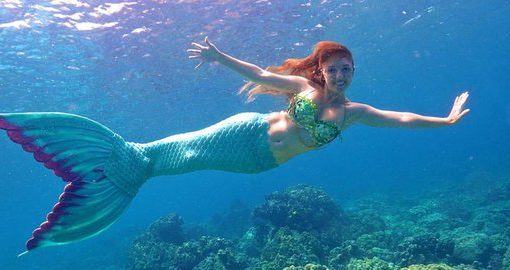 kostum mermaid dan harganya